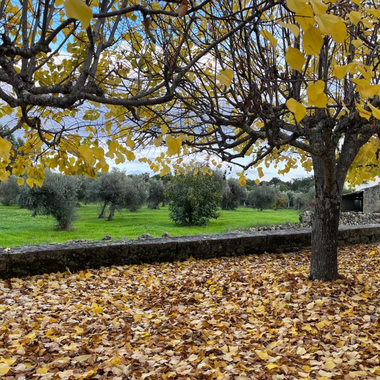 Outono-Inverno-Beira-Baixa